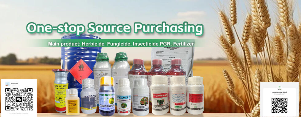 Pest Control Insecticide