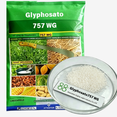 Full Range Glyphosate 360g/L 410g/L 480g/L757SG  Soluble Liquid, 74.7% Water Soluble Granule, 95% Technical Concentrate Agricultural HerbicideGlyphosate Weed Control Herbicidesglyphosate herbicides