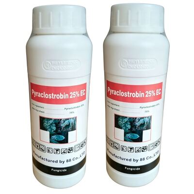 Premium Pyraclostrobin 25% EC (CAS: 175013-18-0) emulsifiable concentrate, high-efficiency strobilurin fungicide for fungal disease control.