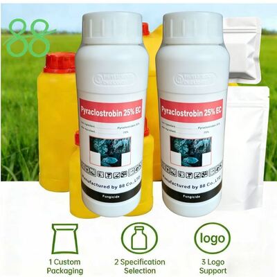Premium Pyraclostrobin 25% EC (CAS: 175013-18-0) emulsifiable concentrate, high-efficiency strobilurin fungicide for fungal disease control.