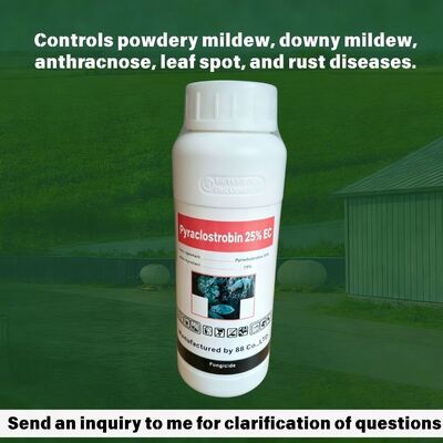 Premium Pyraclostrobin 25% EC (CAS: 175013-18-0) emulsifiable concentrate, high-efficiency strobilurin fungicide for fungal disease control.