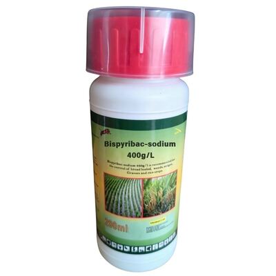 rice weed control. Bispyribac-sodium 400g/L SC (CAS: 125401-92-5) suspension concentrate, high-efficiency pyrimidinyl carboxylate herbicide  for agriculture.