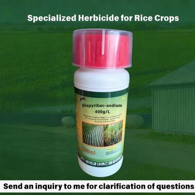 rice weed control. Bispyribac-sodium 400g/L SC (CAS: 125401-92-5) suspension concentrate, high-efficiency pyrimidinyl carboxylate herbicide  for agriculture.
