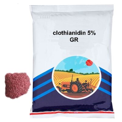 Clothianidin 5% GR (CAS 210880-92-5) Neonicotinoid Granular Insecticide, Soil Treatment for Rice Corn Vegetable Root & Sucking Pest Control, Rice planthopper control, Underground grub killer