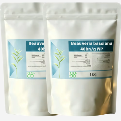 Beauveria bassiana 40bn/g WP Biological Insecticide, Parasitic Fungal Biopesticide for Organic Aphid Whitefly Grub Control, Low Residue Wettable Powder