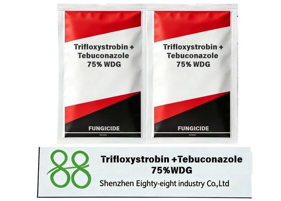 trifloxystrobin tebuconazole 75% WDG, compound water dispersible granule fungicide, crop leaf‑spot control, strobilurin triazole fungicide, orchard disease‑control agrochemical