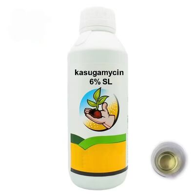 Kasugamycin 6% SL systemic soluble liquid bactericide for bacterial plant disease management, factory favorable price, customizable package for bulk purchase.