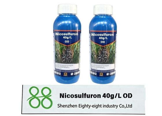 Nicosulfuron 750g/kg WDG high-efficiency post-emergence corn herbicide WDG for grass weed control, factory competitive price, bulk order and customized packaging welcomed.