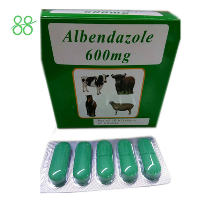 Albendazole 600ml Veterinary Antibiotics