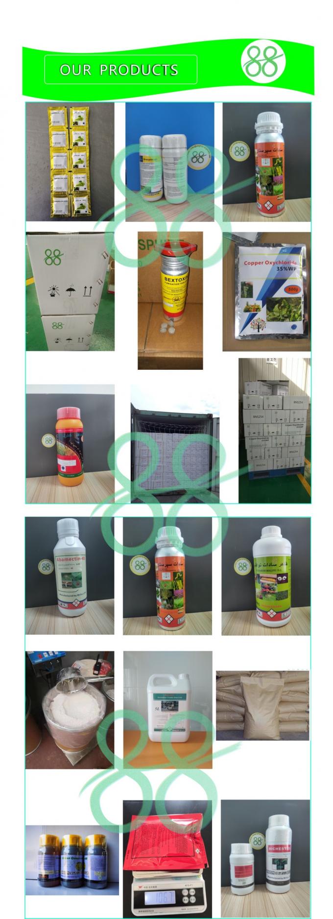 White Powder Pyridaben 20WP Tick Insecticide